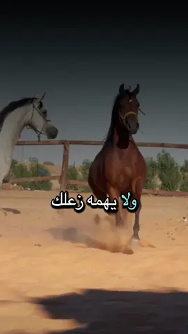 #أكسبلور_شعر_حكم_خواطر 