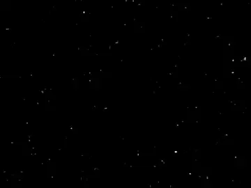 #زَهوراتت☪ #اهل_البيت #اللهم_صل_على_محمد_وآل_محمد #fyp #باسم_الكربلائي 