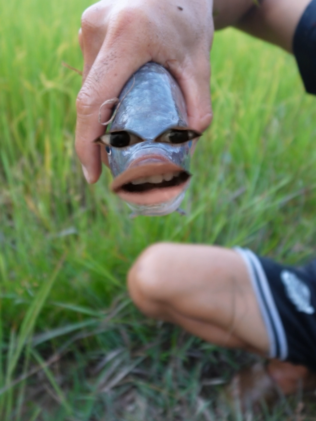 life hacks #oooong #fyp 