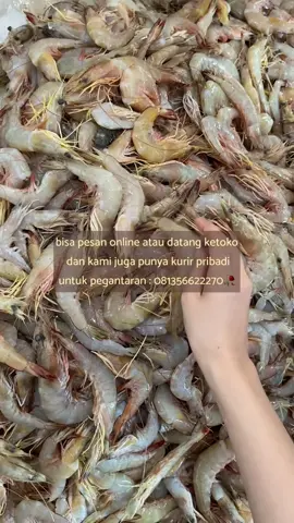 ALAMAT : Jl.Sultan adam komp. Hj iyus banjarmasin utara No 44 blok utama #fyp #fypシ゚ #hsn #udang #seafood 