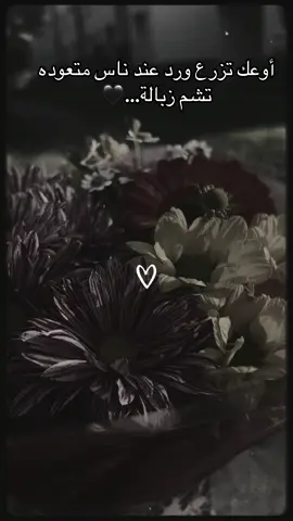 #🖤 #rooh #خذلان 