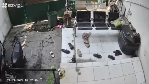 Viral maling motor di Kebon jeruk mahpar kecamatan taman sari tadi siang jam 10:27 #fyppppppppppppppppppppppp  #masukberanda #fypviralシ 