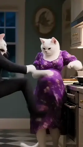 #aicat #cutecat #funnycat #funnyvideos #fypシ 