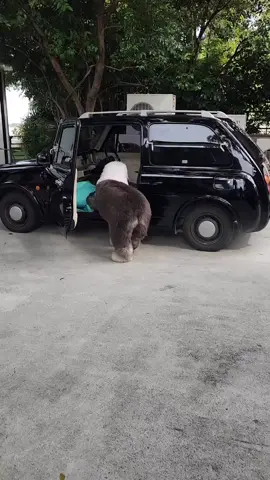 มีคนขับรถส่วนตัว(พี่โอ๋)เอง😆🤣😍♥️