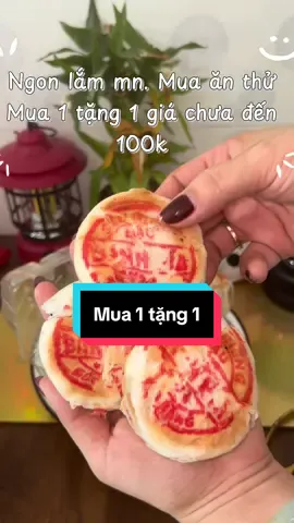 Bánh pía truyền thống mua 1 tặng 1 siêu ngon. Đẫm nhân luôn mn ạ. #banhpiamua1tăng1 #banhpiatruyenthongngayxua #xuhuongtiktok #monngonmoingay 