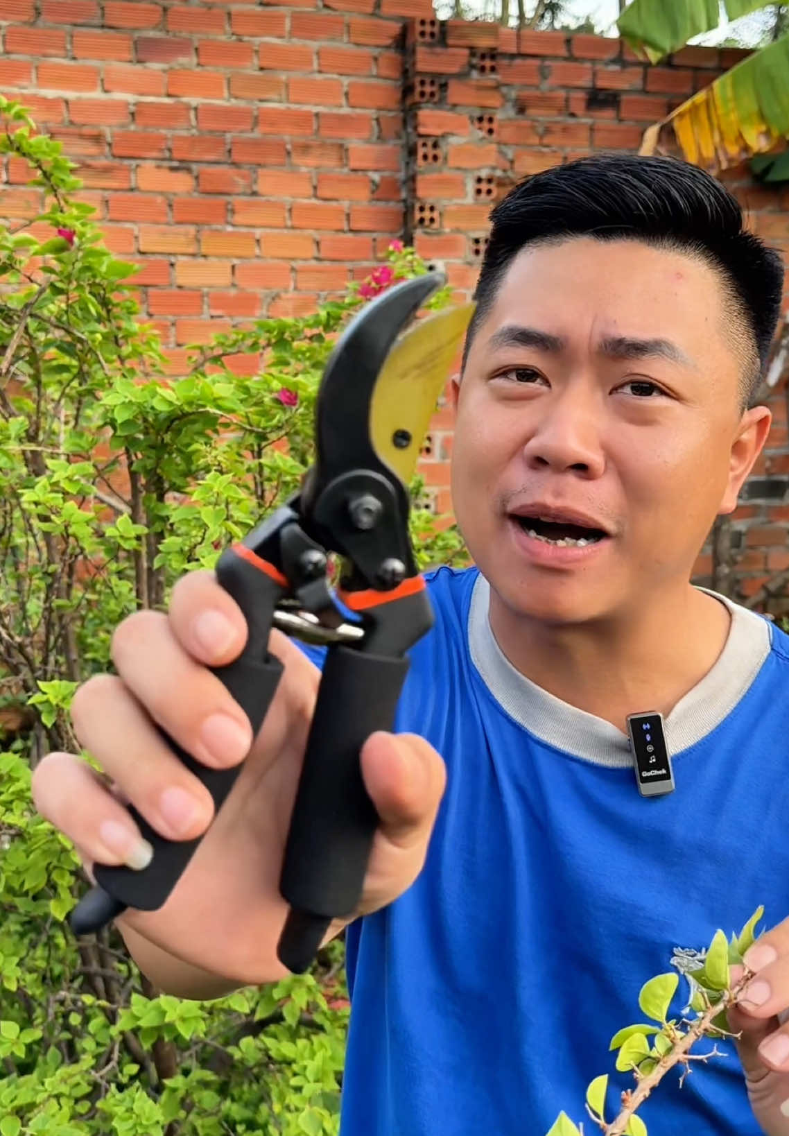 85k. Kéo bấm cây tỉa cành cực bén.