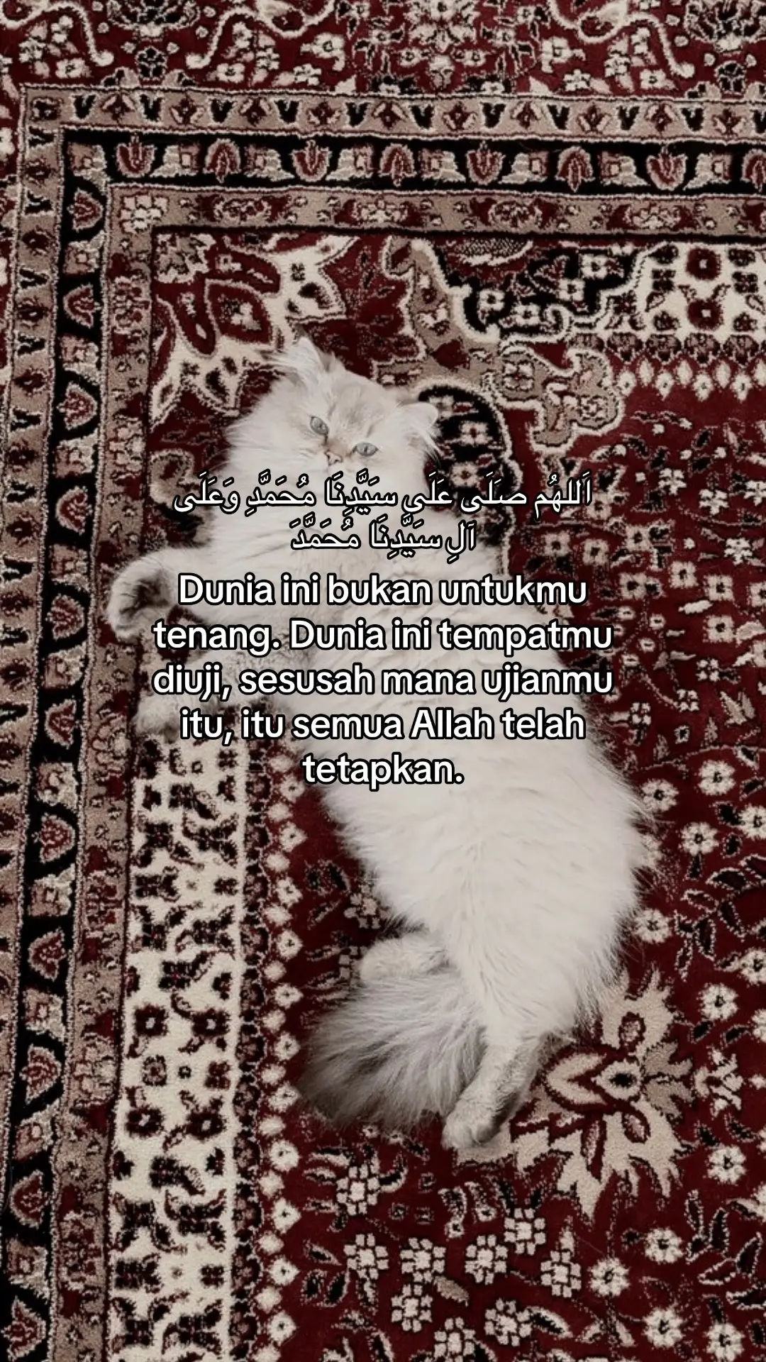 #foryoupage #quotesislam #ABEYY 