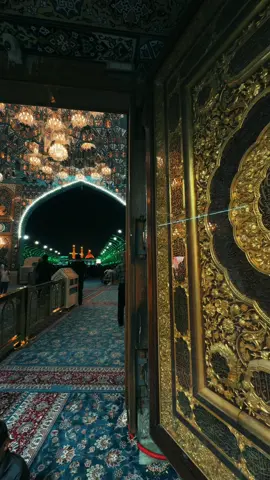 #يا_صاحب_الزمان #كربلاء_المقدسه❤️🙏 