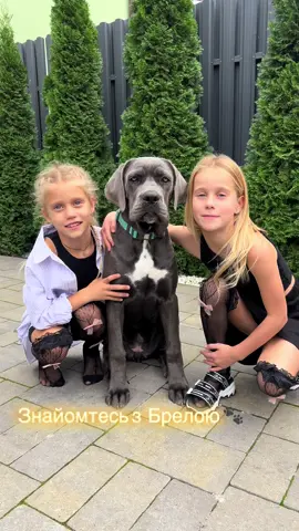 У нас поповнення 😍 Це Брелла, їй всього 5 місяців! Слідкуйте, ми скоро будемо показувати її команди і трюки 🐕✨
