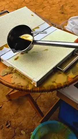 Rahasia Cepatnya Lebah Bikin Sarang 🍯🐝