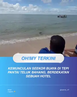 Orang ramai, khususnya kaki pancing, dinasihatkan supaya lebih berhati-hati selepas kemunculan seekor buaya di tepi pantai Teluk Bahang, berdekatan sebuah hotel yang sedang dalam proses pembinaan semula. Kehadiran reptilia itu menimbulkan kebimbangan penduduk serta pemancing yang sering berada di kawasan terbabit. Bagaimanapun, tindakan pantas pihak berkuasa bersama bantuan orang awam serta nelayan tempatan berjaya menamatkan detik cemas itu apabila buaya berkenaan akhirnya berjaya ditangkap dengan selamat. ⚠️ Nasihat orang ramai: Elakkan berada terlalu dekat dengan kawasan pantai tersebut buat sementara waktu demi keselamatan. #malaysia #foryou #fyp #buaya 