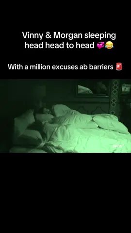 #bb27 #bbtiktok #bigbrother27 #bbtiktoker #vincepanaro 