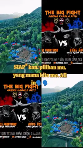 #kptstoraja🐃🐃  #arenaderbytoraja  #tentukanpilihanmusekarang 🙏