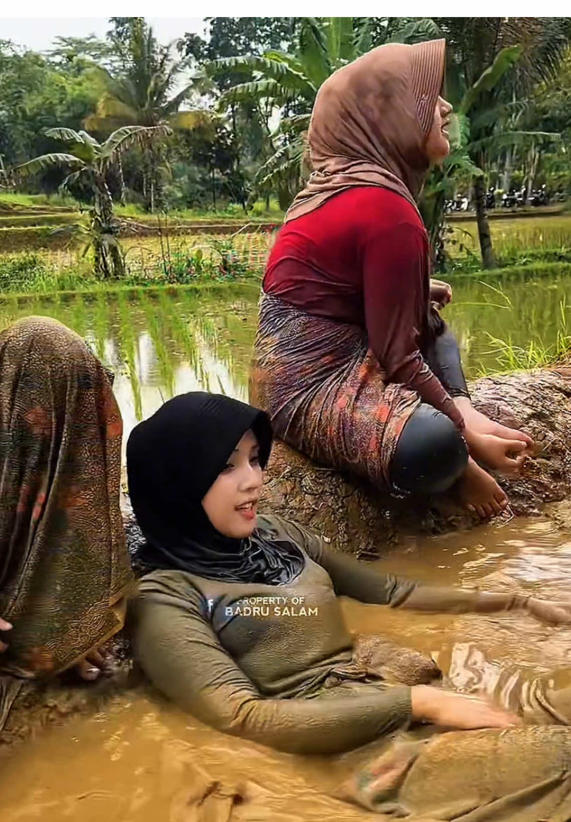 Saw a widow hunting fish in the rice field😂#tiktokcreator #views #trapfish #relaxing #foryoupage 