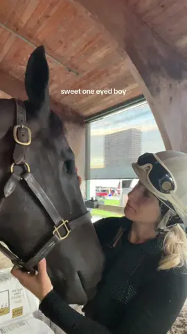 Gentle boy 