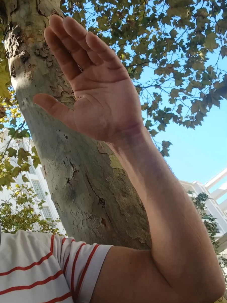 #فيزا #عمل #فرنسا #فلاحة #طبخ 