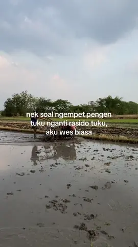 #teamngiwomarung #teamngiwomadang #fyp #xybca #teamngiwomadang 