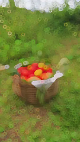 Nhà bác có hồng giòn, nhà tôi có Hồng Chín Đỏ, bác ngán ăn hồng giòn thì mời bác thử Hồng Chín Đỏ Lạng Sơn Quê Tôi !#chilang #cayhong #hongnhanhau 