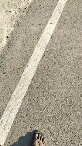 wkwk🤭🤭🤭🤭🤭