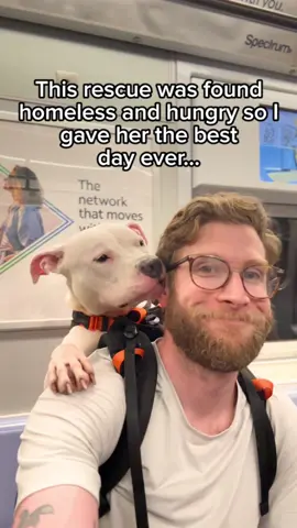 Pear (and pig) need a forever home! ❤️🐷 ✨MEET PEAR✨ •5 years old •Came to @Best Friends via @Animal Care Centers of NYC  •Very cuddly •Adventurous & curious •LOVED her backpack ride! •Does very well on a leash •Loves people •LOVES FOOOOOOOOD!! ✨LIKES✨ Food Food Giving kisses Subway rides Food Toys Snuggling Food ✨DISLIKES✨ When there’s not enough food This sweet girl is spayed, microchipped, vaccinated, and ready to fill your home with endless joy. Please consider making Pear part of your family through @be in Soho. We can’t wait to share the next adoptable pup with you soon! #adopt #rescue #dogsoftiktok #rescuedog #dog 