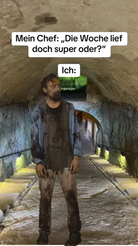 Ich 24/7 wenn ich nach Hause komme 😂😂😂 #fyp #foryoupage❤️❤️ #arbeit #work #kaputt 