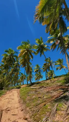 Take me back 😭 #fyp #puntacana 