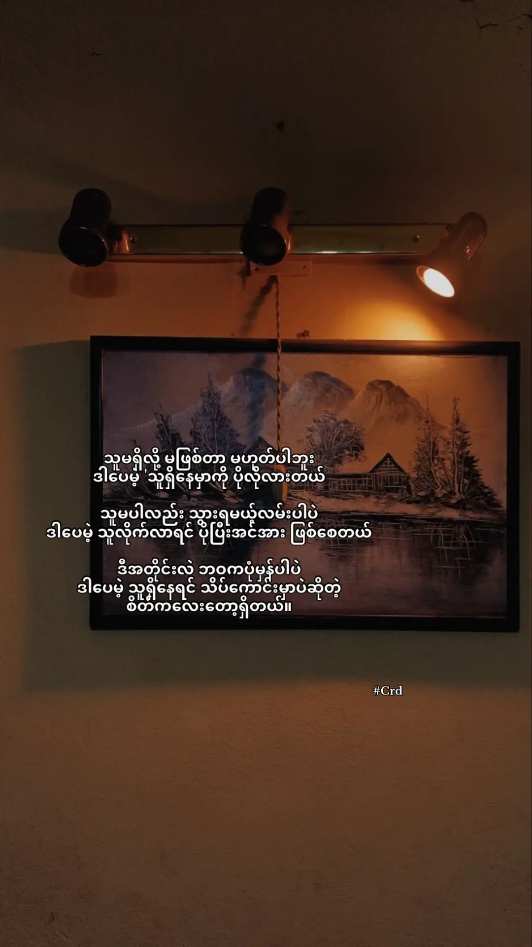 #nocaption #fly #viwes #myanmartiktok🇲🇲🇲🇲 