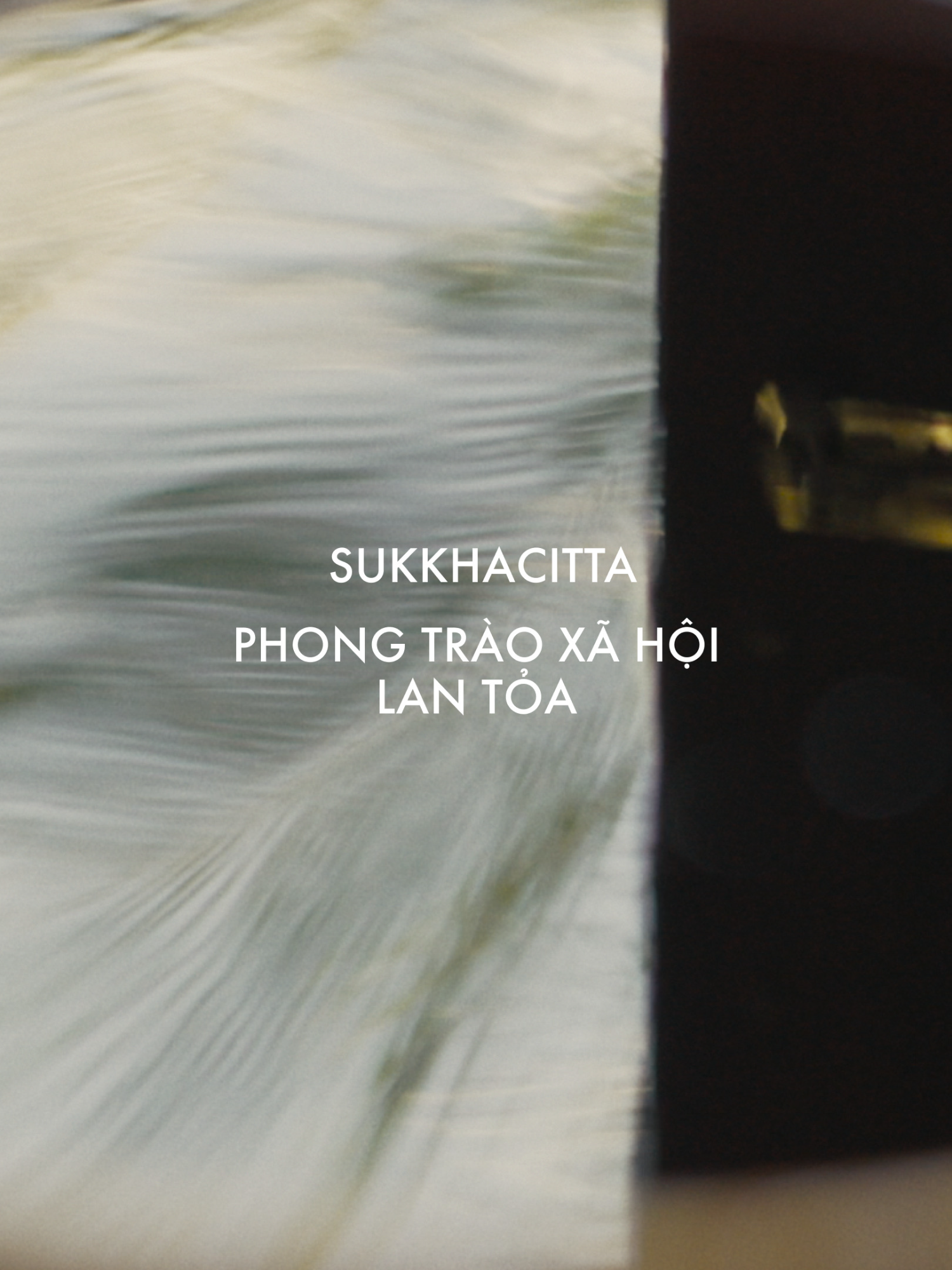 [FASHION TALK SPECIAL]  SukkhaCitta - Một phong trào xã hội lan toả [Part 3] Năm 2023, Denica Riadini - Flesch, CEO và Founder của SukkhaCitta đã thắng giải thưởng  Rolex Awards thuộc chương trình Perpetual Planet Initiative và đó chính là một bước ngoặt quan trọng đối với Denica và doanh nghiệp của cô. Với sự hỗ trợ và đồng hành của Rolex, Denica và SukkhaCitta đã xây được 5 trường dạy nghề cho phụ nữ, hợp tác với 500 người bao gồm nông dân, thợ nhuộm, thợ dệt, thợ may và nghệ nhân, từ đó tác động tích đến hơn 1500 người ở khắp Indonesia. Denica sẽ tiếp tục phát triển một ứng dụng để lưu lại và chia sẻ chương trình huấn luyện của trung tâm bao gồm những bài học về vẽ batik, nhuộm vải thủ công, phương thức trồng trọt xen canh… “Rolex đang giúp chúng tôi chia sẻ câu chuyện, những nỗ lực của mình trên sân khấu tầm cỡ quốc tế. Điều đó đã củng cố niềm tin rằng những gì chúng tôi bắt đầu có thể trở thành một phong trào, để lan tỏa sứ mệnh này khắp thế giới”. Từ năm 1976, Rolex Awards đã đồng hành cùng những cá nhân xuất chúng và những dự án bứt phá góp phần nâng cao chất lượng cuộc sống trên hành tinh, mở rộng tri thức, đưa ra giải pháp cho những thách thức lớn, đồng thời gìn giữ di sản thiên nhiên và văn hoá cho thế hệ tương lai. @rolex @sukkhacitta @anastasia.setiobudi @denicaflesch Quay & dựng phim: @ardent.narration Biên tập: @lienchinguyen #ELLEVietnam #Rolex #PerpetualPlanet #RolexAwards