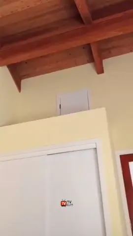 Keluarga itu Menemukan Pintu Rahasia di Rumah Baru Mereka#faktaunik #fyp #tahukahkamu #semuaorang #tvcuyy