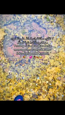 @Selviaja #katakataarabic🇸🇦🥀 #qoutesislami #syairarab #syaircinta #arabicsong 