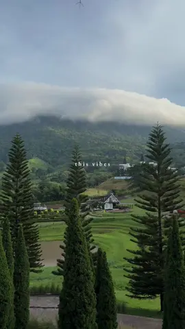 This vibes.💚🍃⛰️ #theblueskyresortkhaokho #บลูสกายเขาค้อ #ที่พักเขาค้อ #เขาค้อ #tiktokพาเที่ยว 