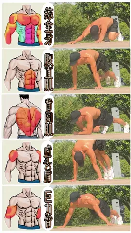 Five exercises to train upper body muscles and become a unicorn #bodybuilding #MyFitnessCheck #MyHealth #viralvideo #training 