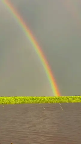 #ក្បូនអូនសុំចតកំពង់បងផង❤️ម្ចាស់ជីវិតអើយ #ទេសភាពស្រុកស្រែ🌄🏜️🌱🌼🌾🐟 #ត្រឹមកូនអ្នកស្រែ🌿🌾💚 #អ្នកស្រែស្បែកខ្មៅ🧑🏿‍🦱🌾 