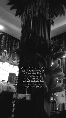 #شعراء_وذواقين_الشعر_الشعبي🎸 #اكسبلورexplore 