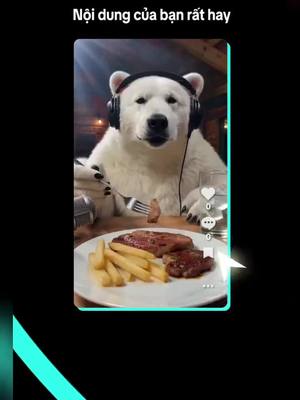 Hãy thử TikTok Ads Manager để phát triển doanh nghiệp của bạn ngay hôm nay!