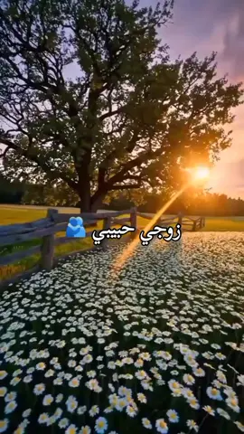 #زوجي  ورفيقه #ضربي  #تصميم_فيديوهات🎶🎤  🎧 🎬 #حالات_واتس🖤🔥 