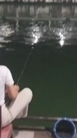 gt lele telaga pandawa#ladiesangler #galatamalele #fyp 