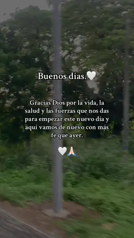 ##Motivacional #reflexion #reflexaododia #motivacion 