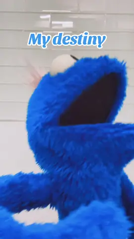 What can I do? #puppet #puppets #puppetsoftiktok #puppetry #puppeteer 