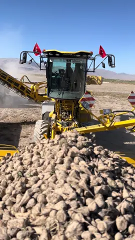 2025 2026 sezonu hayırlı bereketli olsun inşallah #maus #ropa6 #ropa 