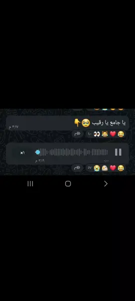 #ياجامع_يارقيب #تصميم_فيديوهات🎶🎤🎬 #محضوره_من_الاكسبلور_والمشاهدات #مالي_خلق_احط_هاشتاقات 