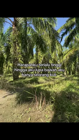 Kata kata #kulisawit #fyp sw.