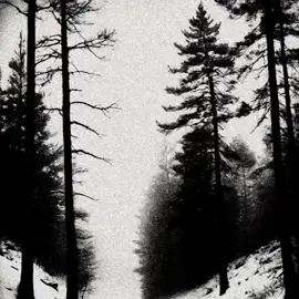 astaroth 666 - necrof**** em cristo. ㅤ ㅤ ㅤ ㅤ ㅤ ㅤ ㅤㅤ ㅤ ㅤ ㅤ ㅤ ㅤ ㅤ#metalhead #металл #blackmetal #blackmetalhead #metal 