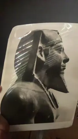 #كيميت #عمرو_بن_العاص #الامه_العربيه #مصر_فلسطين_سوريا_اليمن_المغرب_تونس #العراق_السعوديه_الاردن_الخليج 