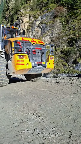 #manang #mustang 