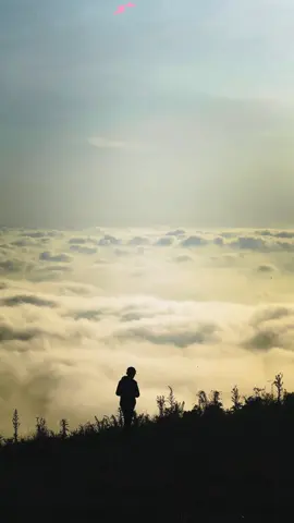 Anane mong tresno kalih welasku…#lautanawan #visitampelgading#lavatourpronojiwo✅ #Ampelgading#fyp @sidemoka_ @Visit Ampelgading 