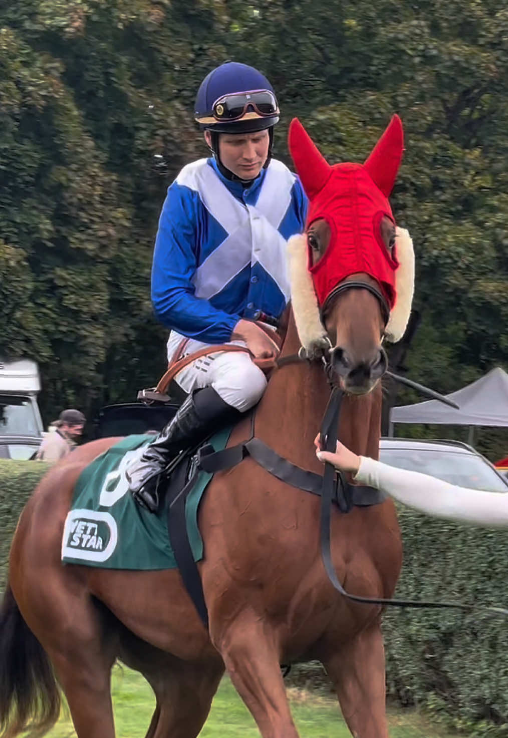 Ginger Ale, Michal Abik & @Mara 💙🤍 #viral #racehorseedit #thoroughbred #trend #fyp 