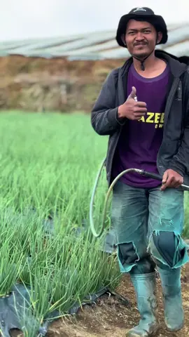 #vikyzalranramadhan #zalrangroup #petanimuda #petani #petaniindonesia🇮🇩🇮🇩🇮🇩🌿🌿 