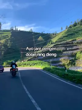 #datarantinggidieng #nyeranghowoadem #masukber