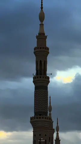 وأشدُّ الناسِ بلاءً وكربًا في الحياة هم الأنبياء؛ قال - عليه الصلاة والسلام -: «إن أشدَّ الناسِ بلاءً: الأنبياء، ثم الأمثلُ فالأمثلُ»؛ رواه النسائي #عبدالمحسن_القاسم#اكسبلور#fyp#foryou#quran